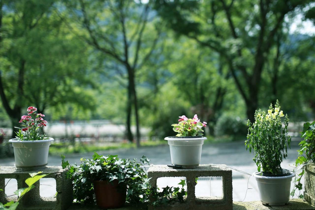 Ancient Street No.5 Youth Chic Hotel Wuyishan  Buitenkant foto